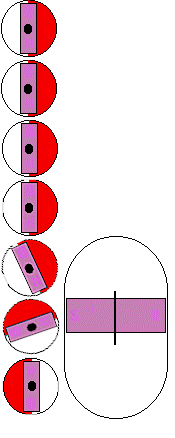 頂裝式磁浮子液位計工作原理圖